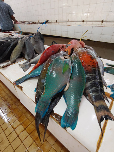 The fish counter in the Nadi market in Fiji