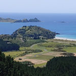 View of the coast in New Zealand