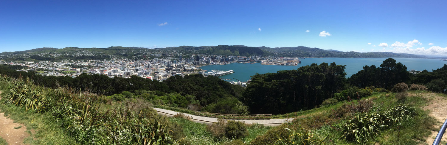 View of Wellington from Mt. Victoria