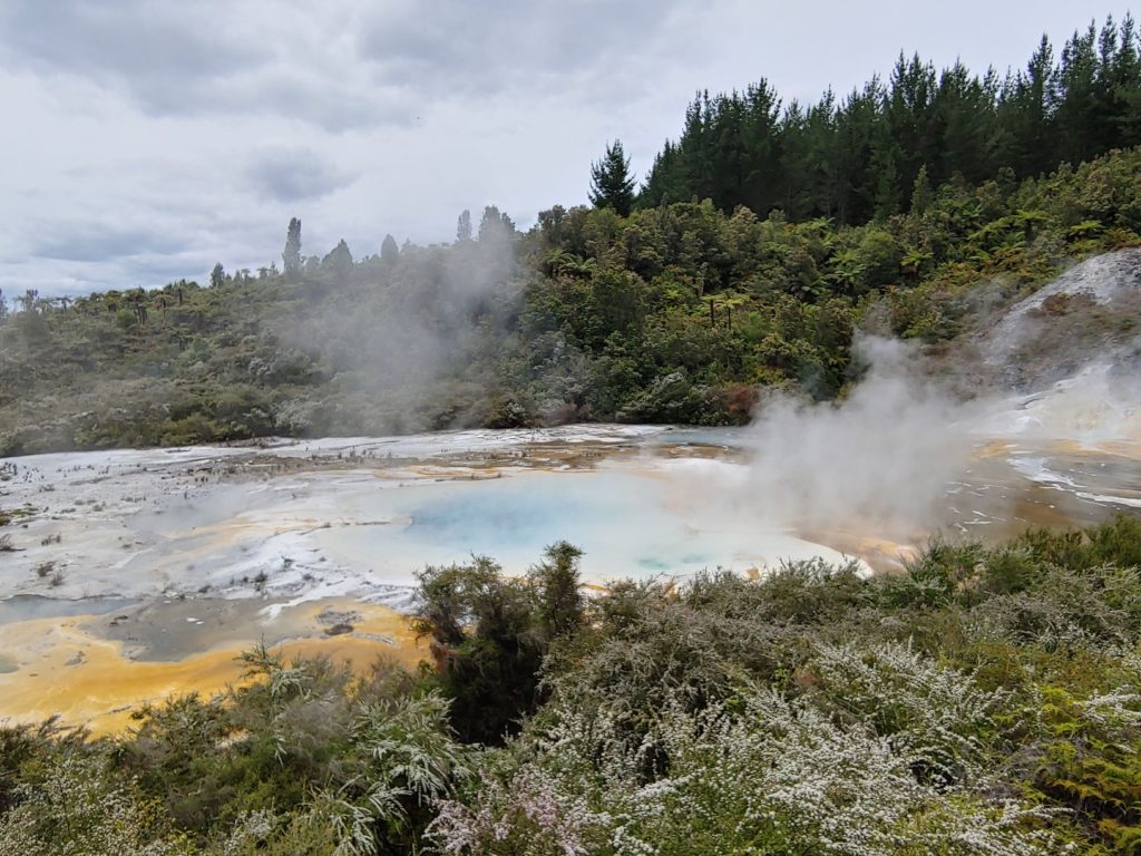 geothermal field